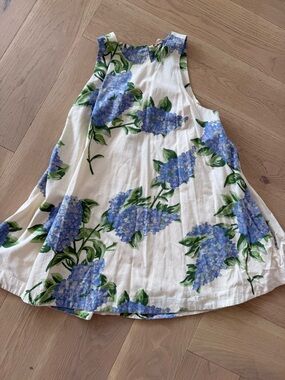 Free People susie hydrangea mini dress